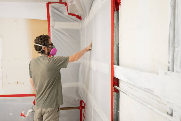 Best Mold Remediation for Healthcare Facilities  in Stroville, CA