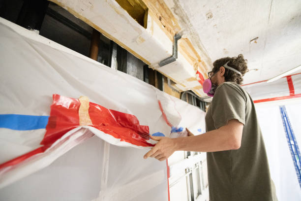 Castroville, CA Mold Removal Company