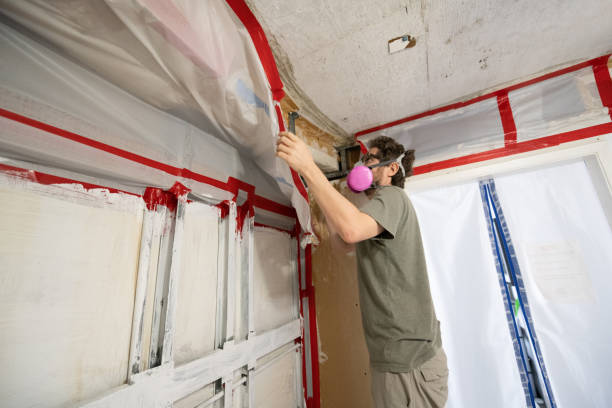 Mold Remediation for Vacation Homes in Castroville, CA
