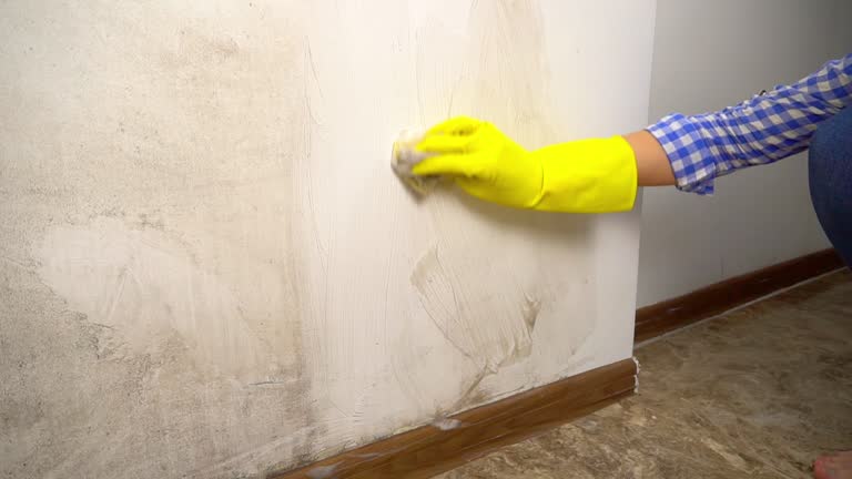 Best Commercial Mold Inspection  in Stroville, CA