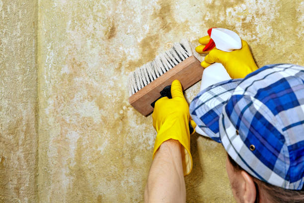 Best Indoor Air Quality Assessment  in Stroville, CA