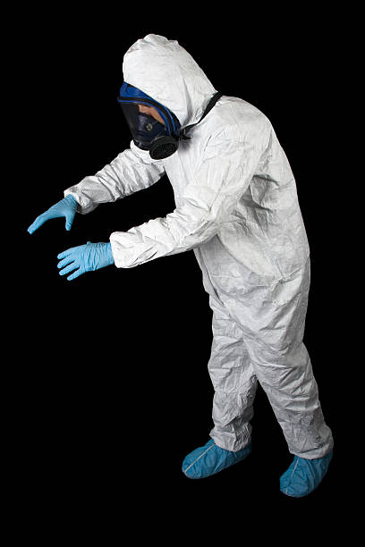 Mold Remediation for Rental Properties in Castroville, CA