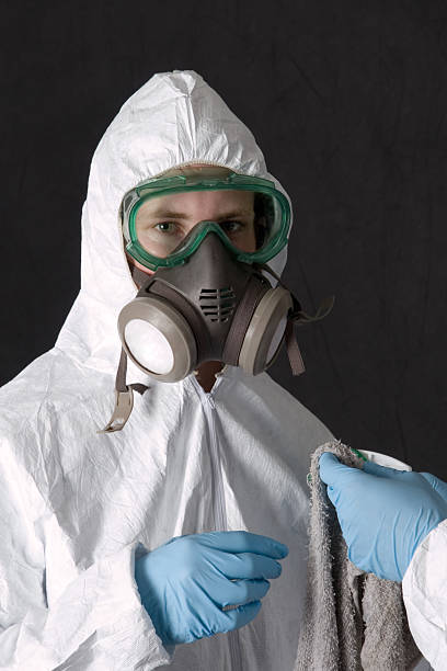 Best Dehumidification Services  in Stroville, CA